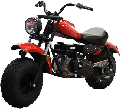 4. X Pro Mini Bikes for Adults